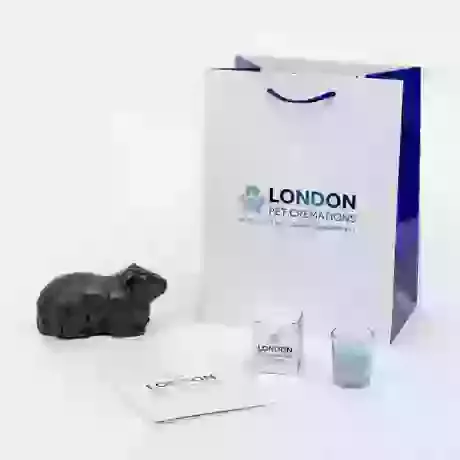 Guinea Pig Urn